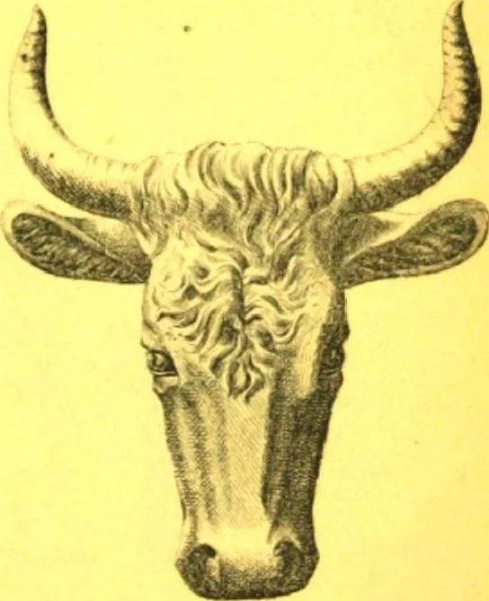 An illustration from Ornements pour l'architecture en zinc, cuivre, tole & plomb : travaux d'art sur dessins croquis & devis., 1912, leaf 248