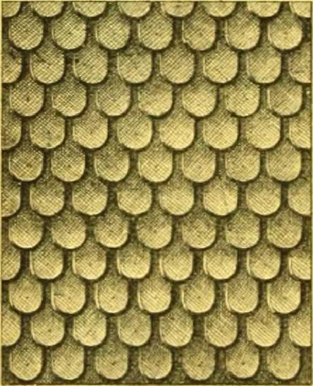 An illustration from Ornements pour l'architecture en zinc, cuivre, tole & plomb : travaux d'art sur dessins croquis & devis., 1912, leaf 275