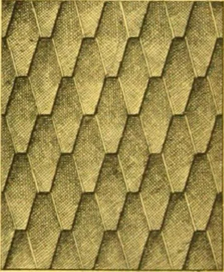 An illustration from Ornements pour l'architecture en zinc, cuivre, tole & plomb : travaux d'art sur dessins croquis & devis., 1912, leaf 275