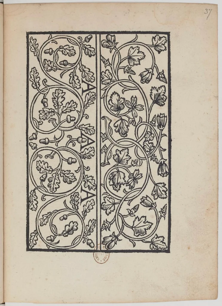 An illustration from Paganini. Libro I & II, 1532, leaf 61