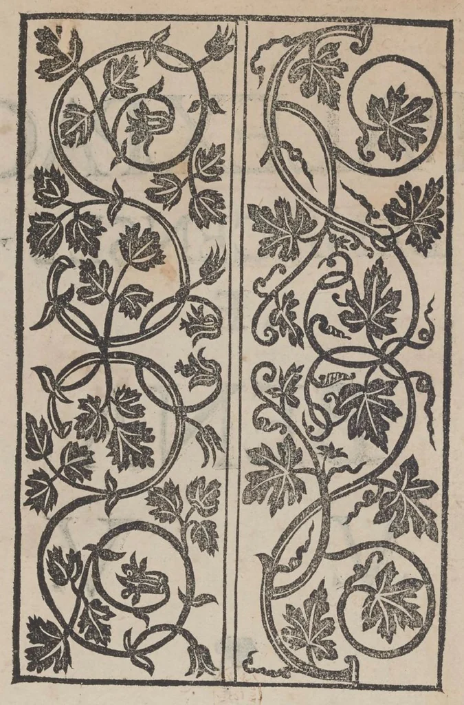 An illustration from Paganini. Libro I & II, 1532, leaf 64