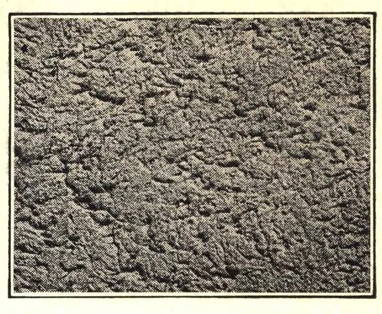 An illustration from Paint point products containing stencil catalogue no. 2., 1920, leaf 5