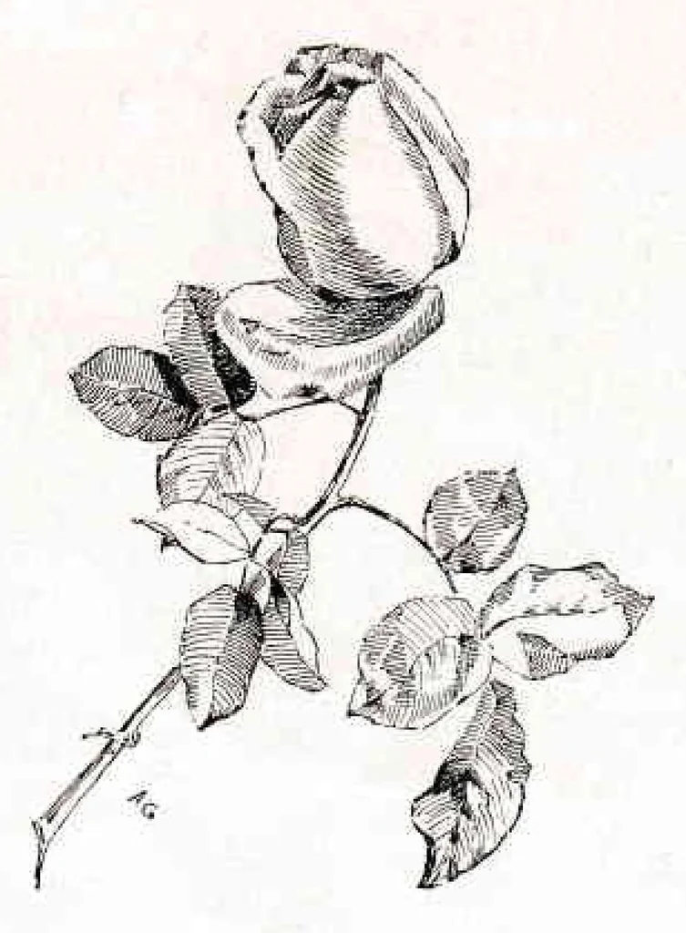 An illustration from Sixth Annual Exhibition of the Paint and Clay Club 1887, 1887, leaf 36