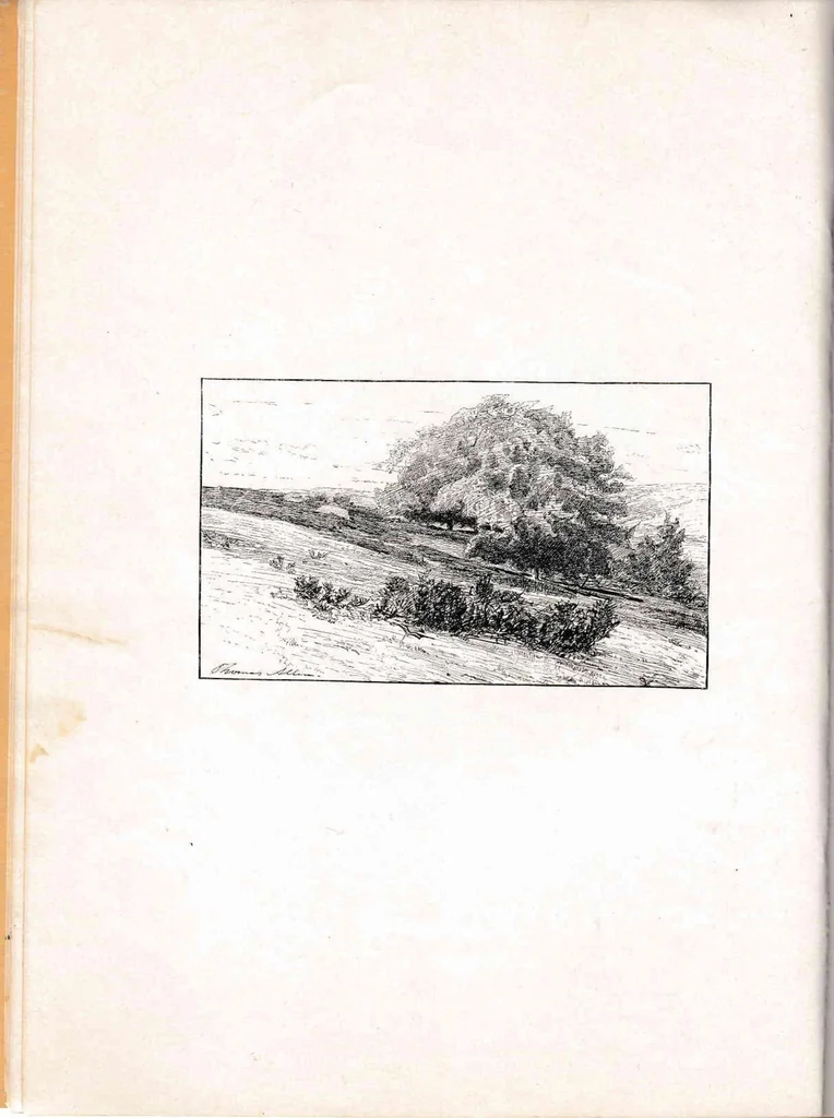 An illustration from Sixth Annual Exhibition of the Paint and Clay Club 1887, 1887, leaf 9