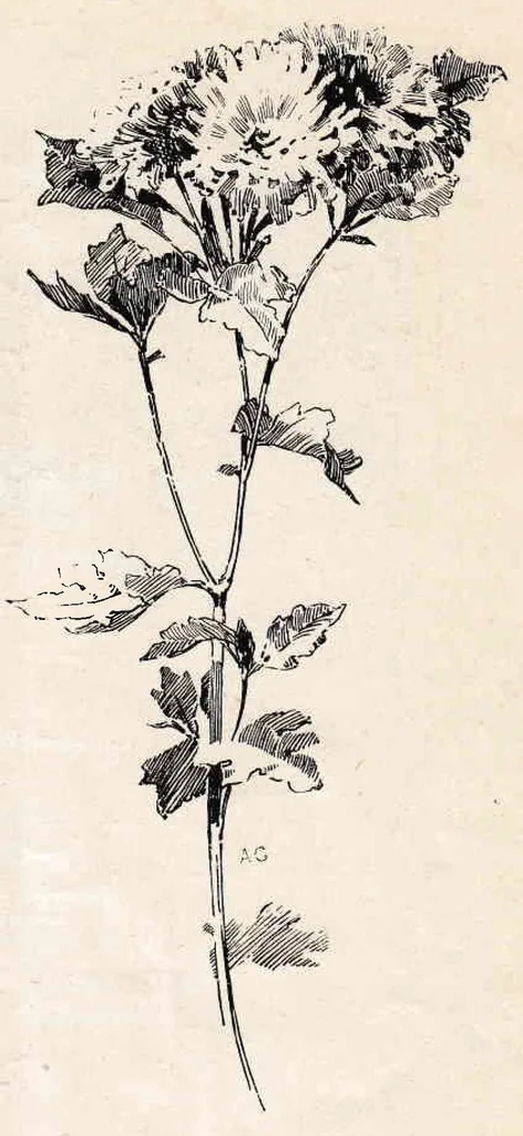 An illustration from Paint and Clay Club's Exhibition of 1894, 1894, leaf 15