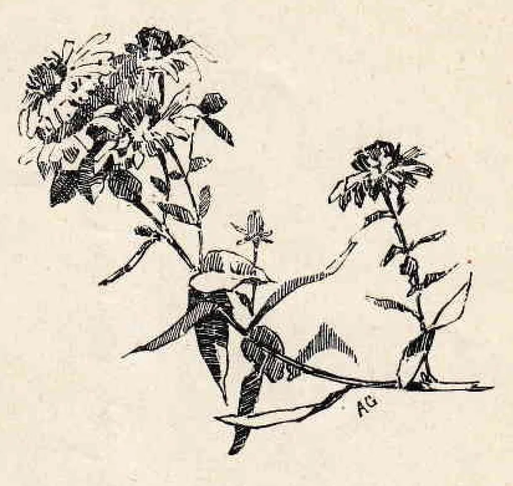 An illustration from Paint and Clay Club's Exhibition of 1894, 1894, leaf 19