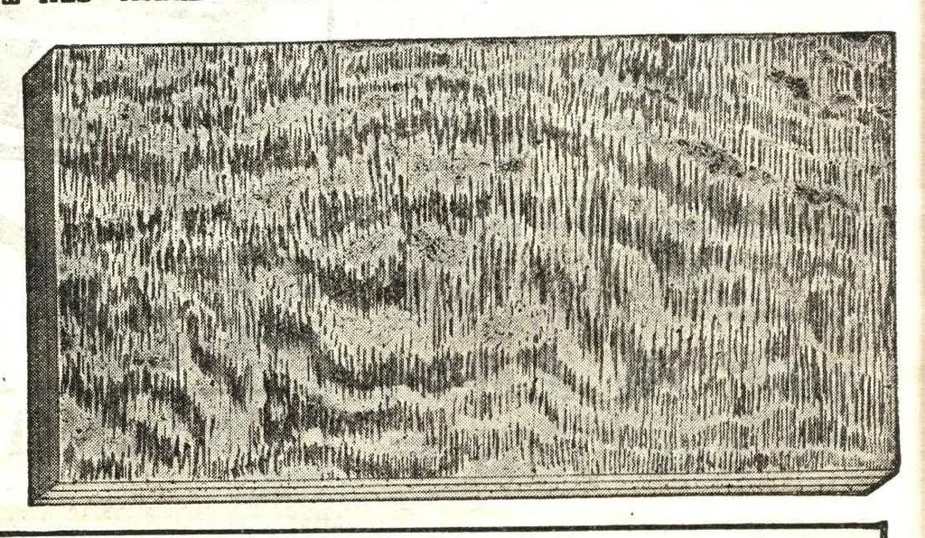 An illustration from Paints varnishes: price wrecker no. 121., 1915, leaf 25