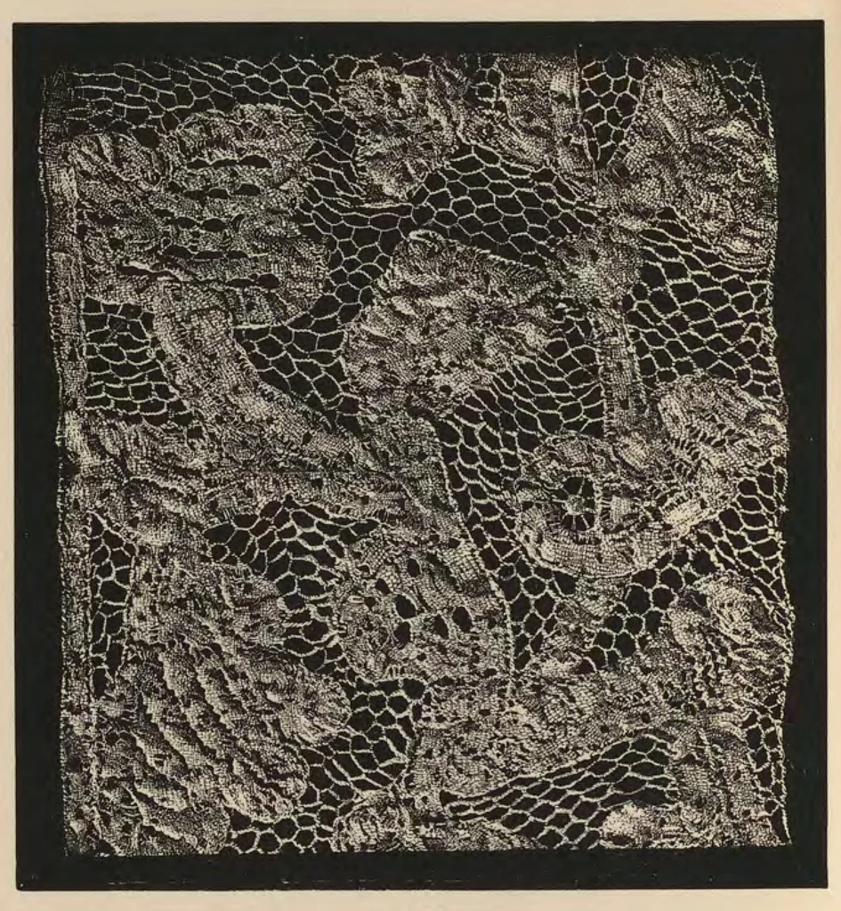 An illustration from A descriptive catalogue of the collection of lace ... : in the South Kensington museum., 1881, leaf 167