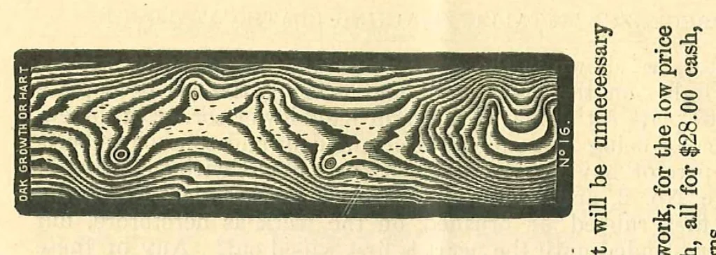 An illustration from Perforated Metallic Graining Tools, 1890, leaf 14