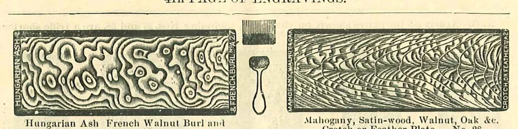 An illustration from Perforated Metallic Graining Tools, 1890, leaf 7