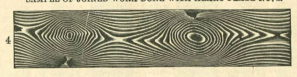 An illustration from Perforated Metallic Graining Tools, 1890, leaf 8