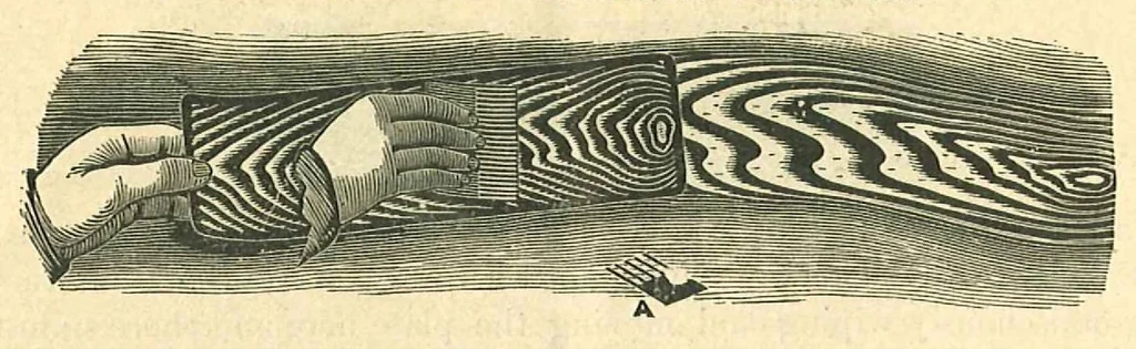An illustration from Perforated Metallic Graining Tools, 1890, leaf 9