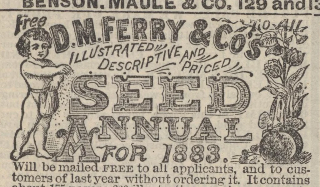 An illustration from Peterson's Ladies National Magazine March 1883, 1883, leaf 80