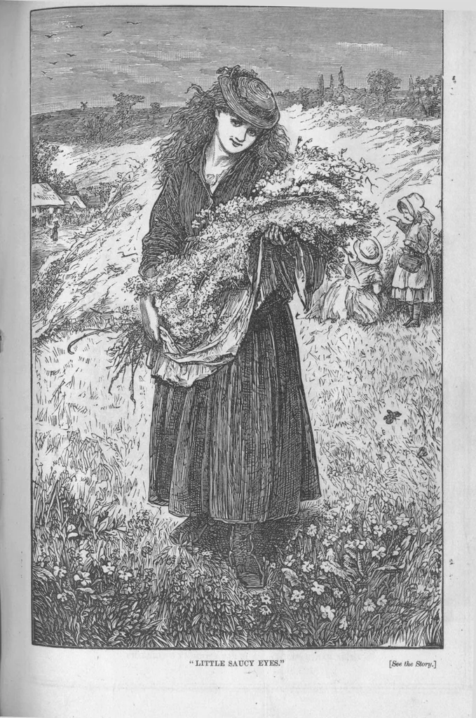 An illustration from Peterson's Magazine 1881 images, 1881, leaf 31