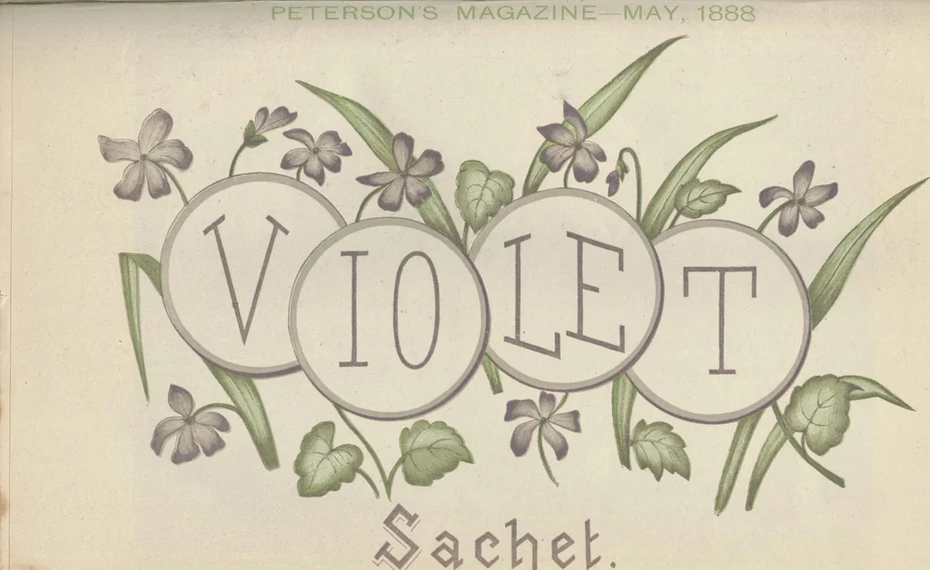 An illustration from Peterson's Magazine January to June 1888 [Fashion and Fancy work pages], 1888, leaf 104
