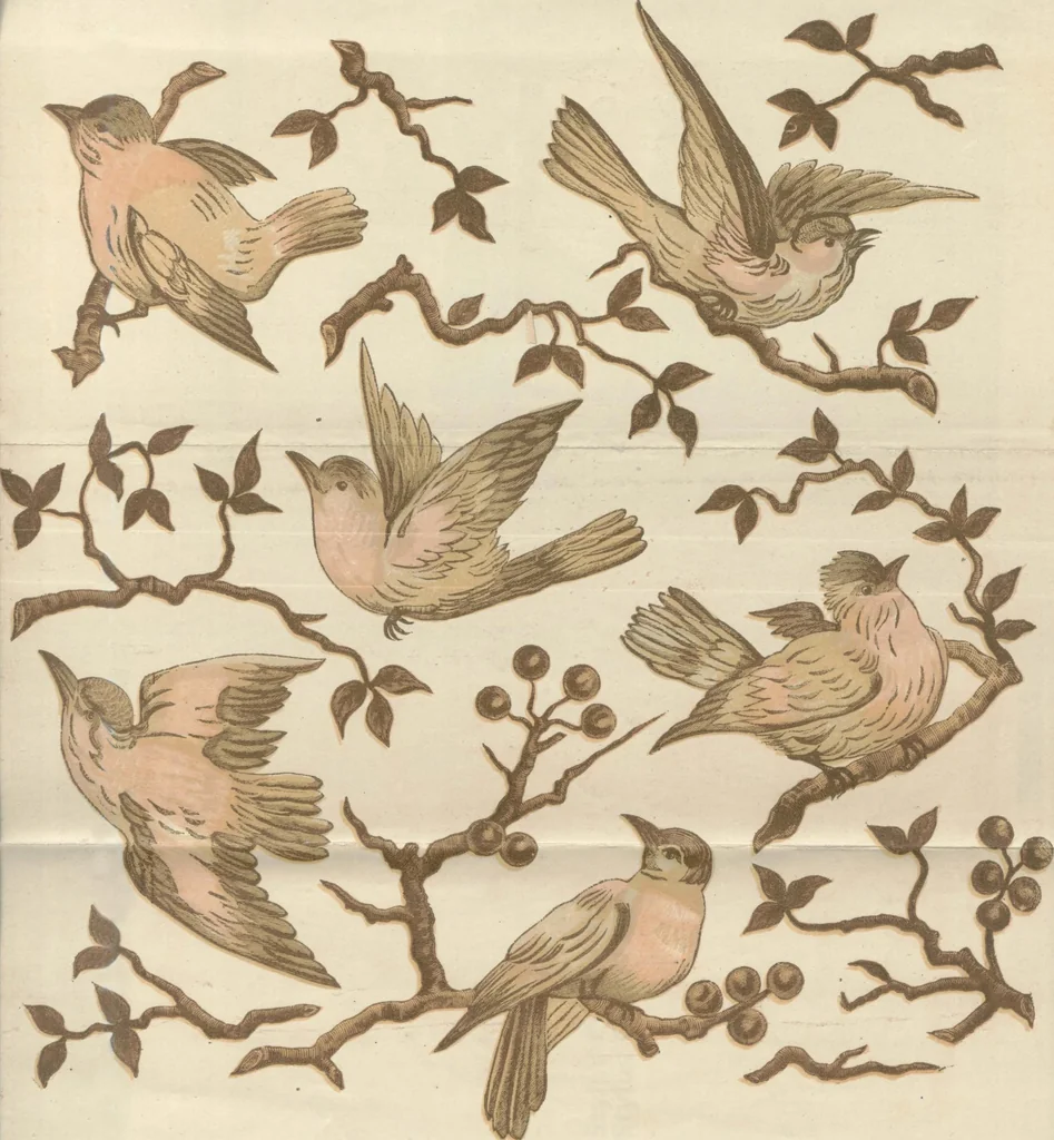 An illustration from Peterson's Magazine January to June 1888 [Fashion and Fancy work pages], 1888, leaf 35