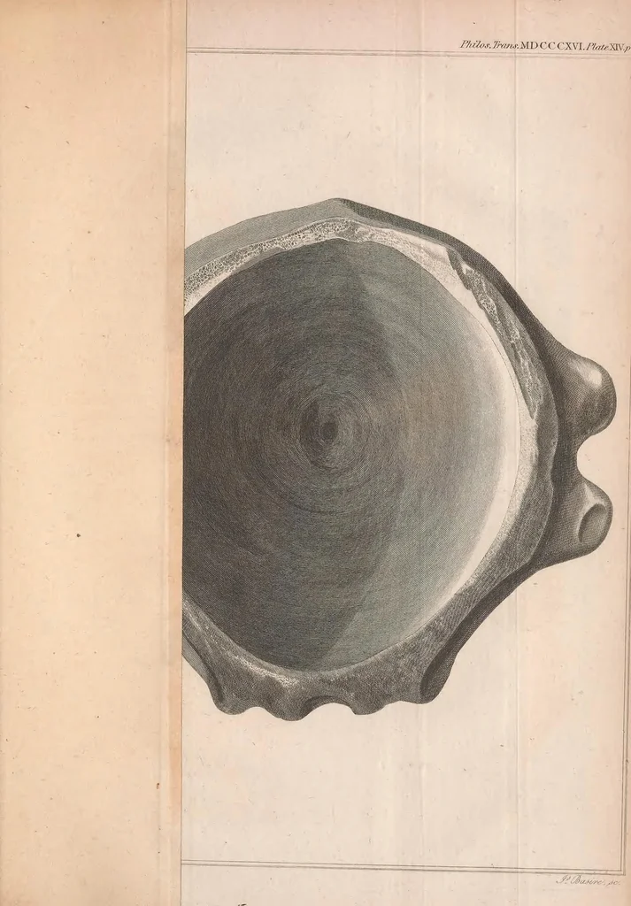 An illustration from Philosophical transactions of the Royal Society of London, 1666, leaf 415