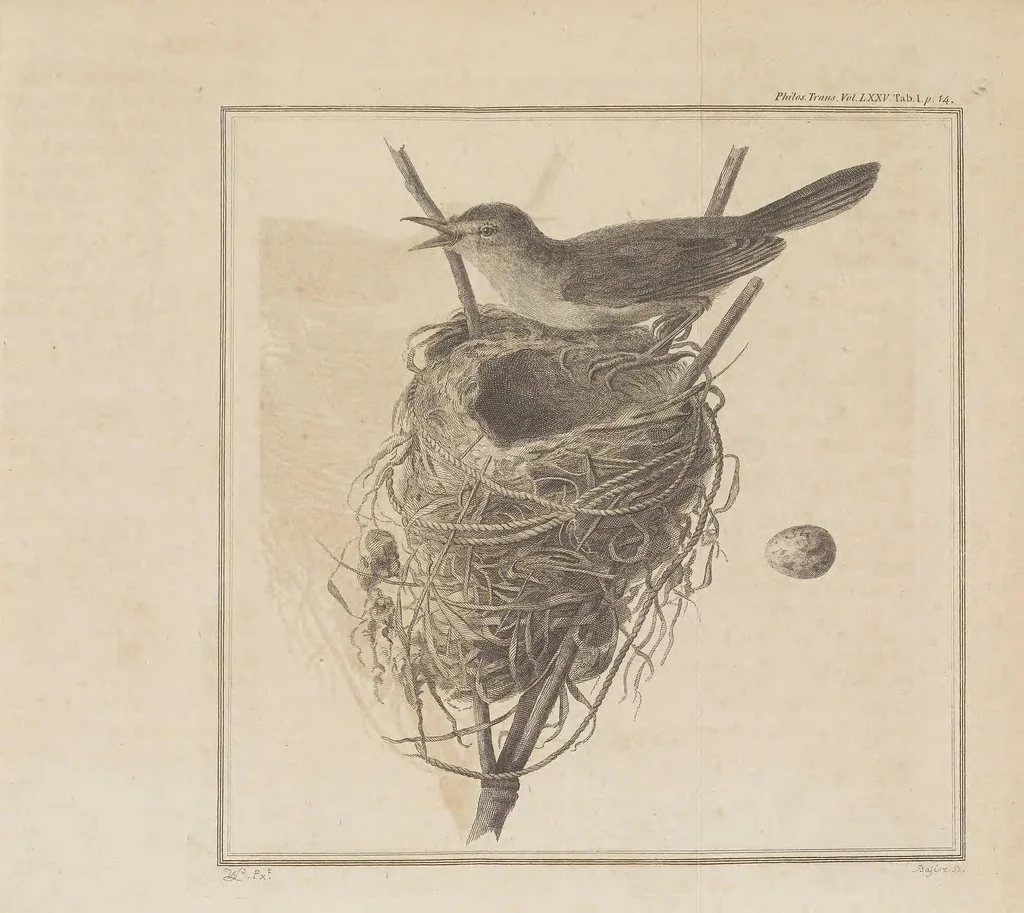 An illustration from Philosophical transactions of the Royal Society of London, 1666, leaf 29