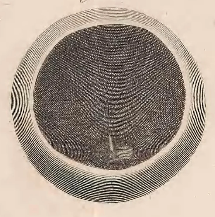 An illustration from Philosophical transactions of the Royal Society of London, 1666, leaf 465