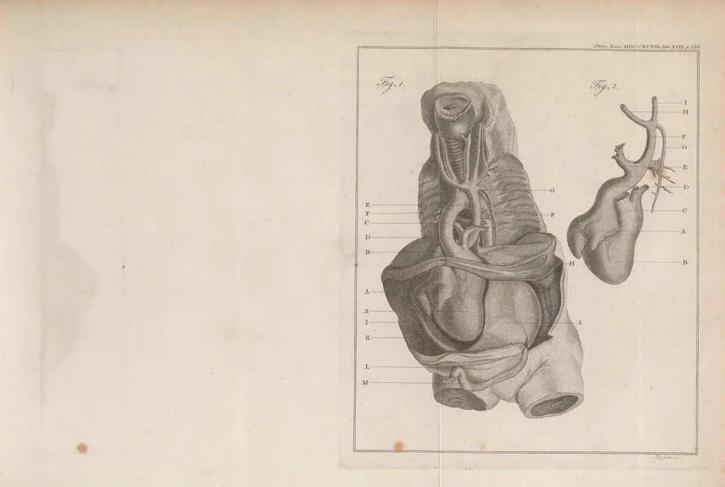 An illustration from Philosophical transactions of the Royal Society of London, 1666, leaf 483