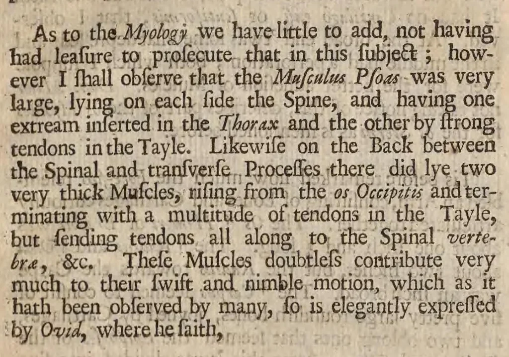 An illustration from Phocæna, or, The anatomy of a porpess, dissected at Gresham Colledge : with a præliminary discourse concerning anatomy, and a natural history of animals .., 1680, leaf 56