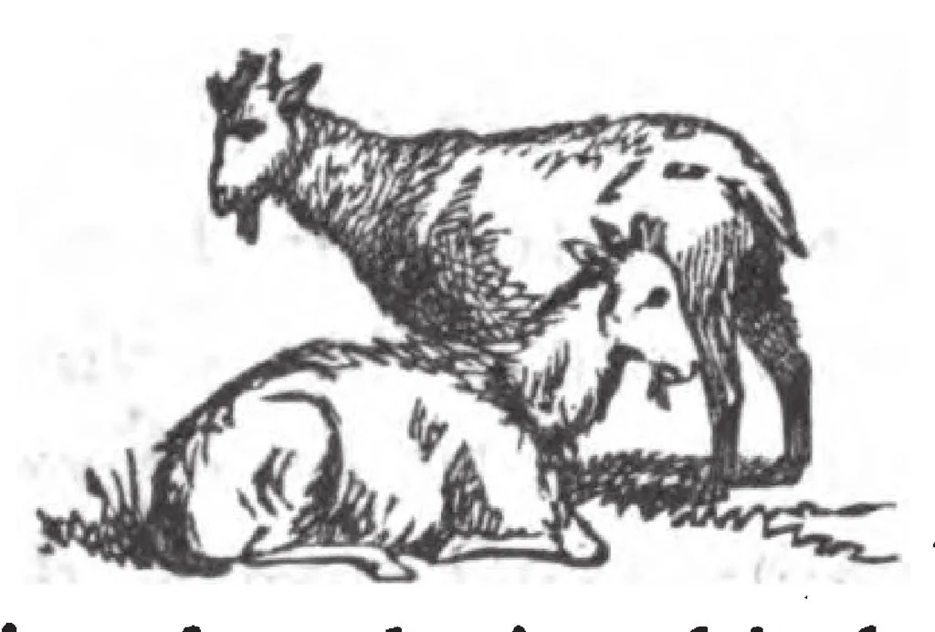 An illustration from Pictorial Description Of The Tabernacle in the Wilderness: Its Rites and Ceremonies, 1878, leaf 71