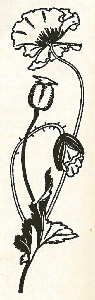An illustration from Preis-Liste 1902. Laterna Magica, Nebelbild-Apparate, Modell-Dampfmaschinen Heissluft-Motore, 1902, leaf 45