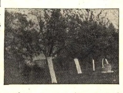 An illustration from Powdrpaint: a remarkable discovery reduces cost of painting 75%., 1900, leaf 10