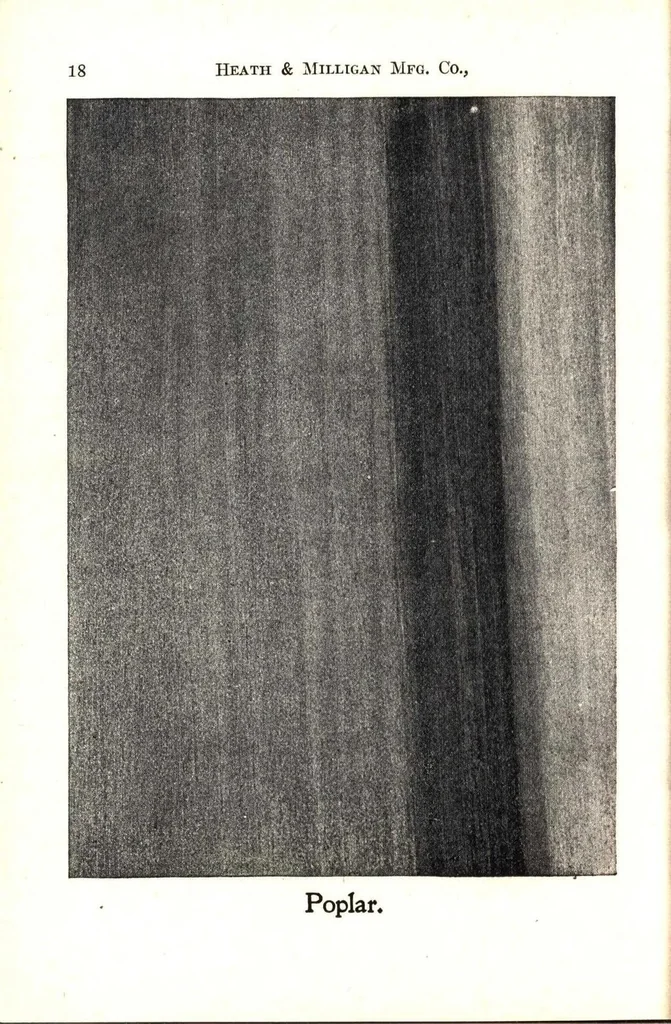 An illustration from Practical painting and how to use the Heath & Milligan paints, 1905, leaf 31