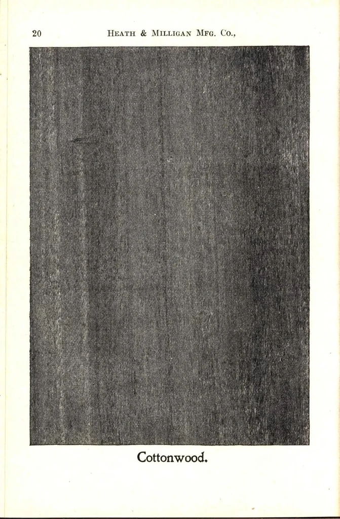 An illustration from Practical painting and how to use the Heath & Milligan paints, 1905, leaf 33
