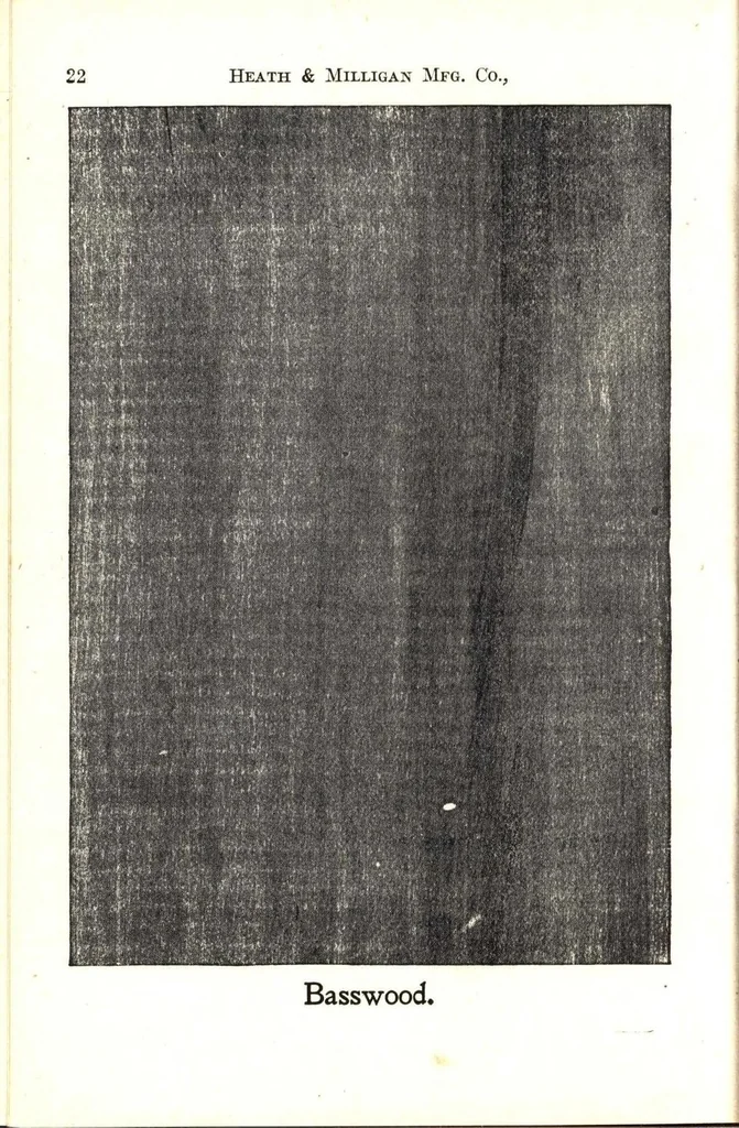 An illustration from Practical painting and how to use the Heath & Milligan paints, 1905, leaf 35