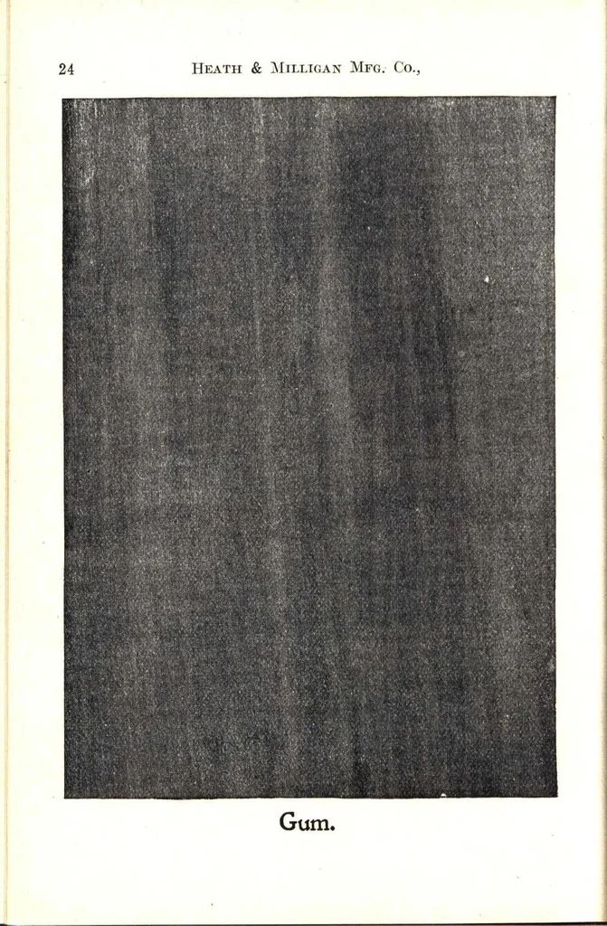 An illustration from Practical painting and how to use the Heath & Milligan paints, 1905, leaf 37