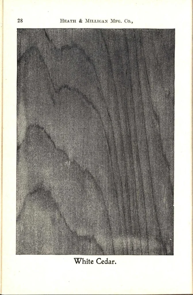 An illustration from Practical painting and how to use the Heath & Milligan paints, 1905, leaf 41