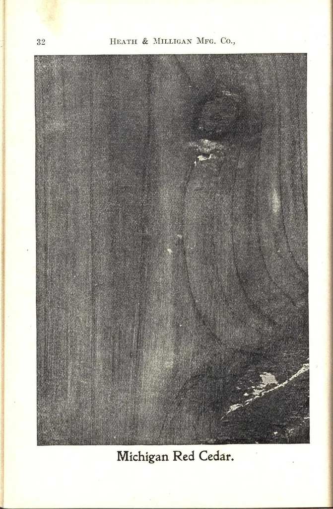 An illustration from Practical painting and how to use the Heath & Milligan paints, 1905, leaf 45