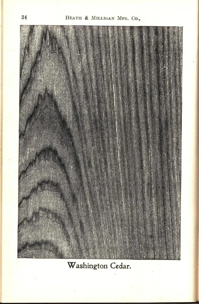 An illustration from Practical painting and how to use the Heath & Milligan paints, 1905, leaf 47