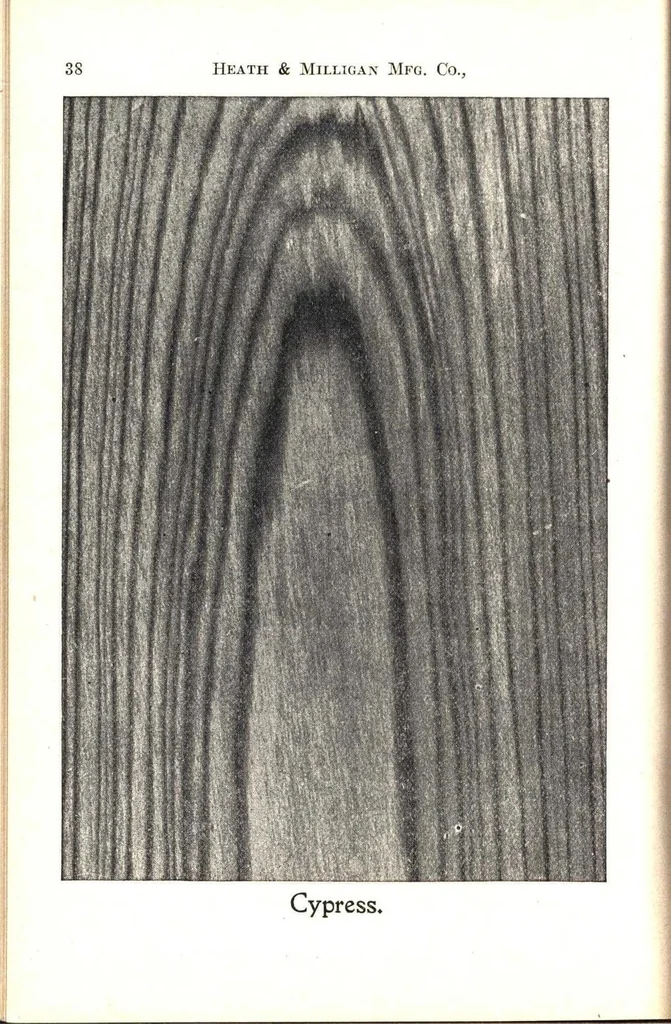 An illustration from Practical painting and how to use the Heath & Milligan paints, 1905, leaf 51