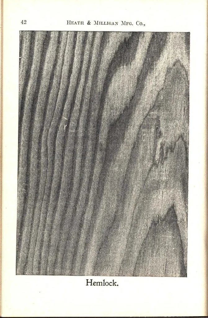An illustration from Practical painting and how to use the Heath & Milligan paints, 1905, leaf 55