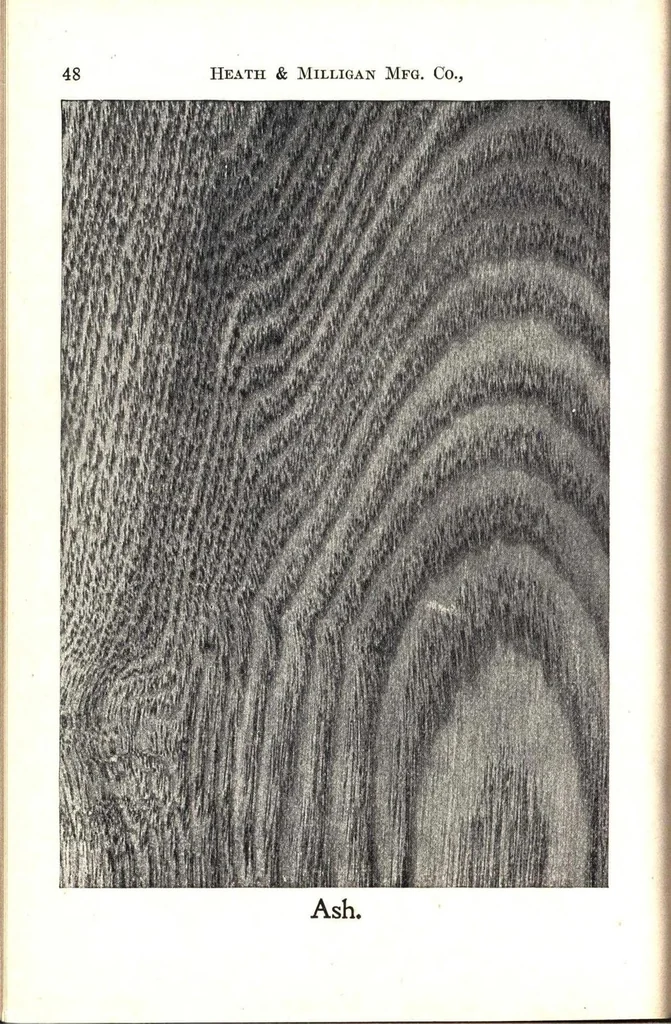 An illustration from Practical painting and how to use the Heath & Milligan paints, 1905, leaf 61