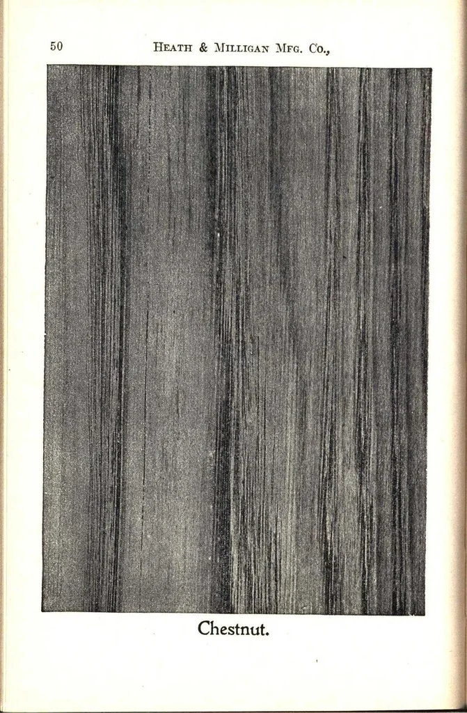 An illustration from Practical painting and how to use the Heath & Milligan paints, 1905, leaf 63