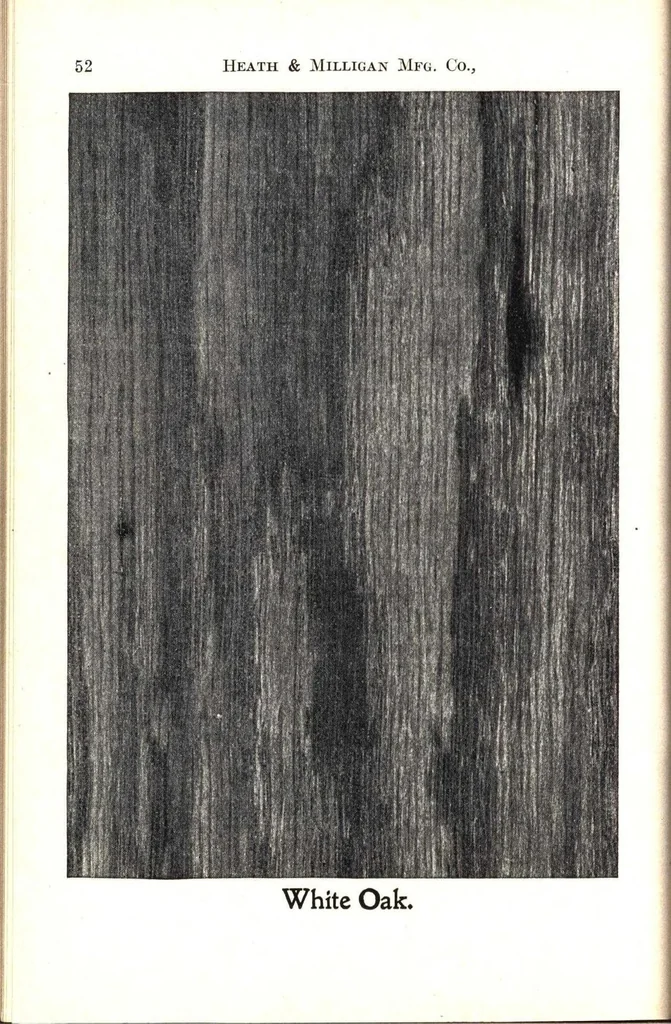 An illustration from Practical painting and how to use the Heath & Milligan paints, 1905, leaf 65