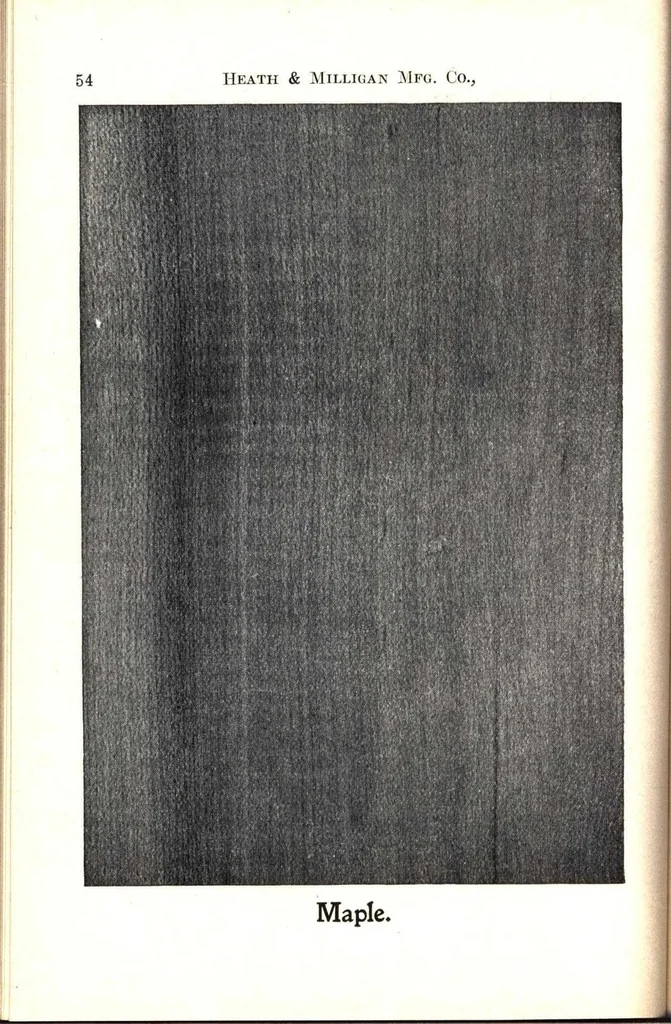 An illustration from Practical painting and how to use the Heath & Milligan paints, 1905, leaf 67
