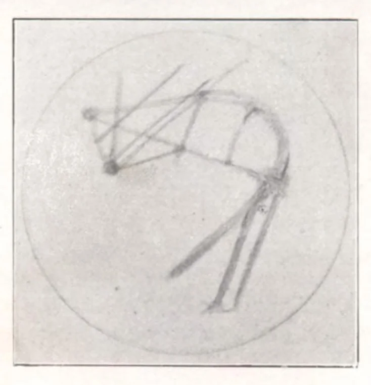 An illustration from Rivista di astronomia e scienze affini, 1908, a. 2, n. 01 (January), 1908, leaf 28