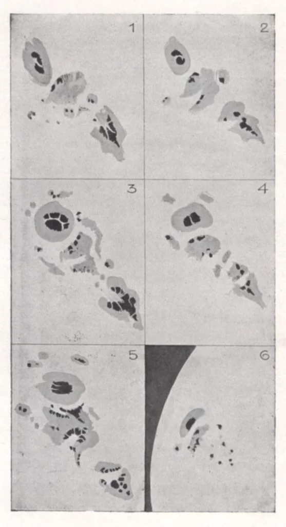 An illustration from Rivista di astronomia e scienze affini, 1908, a. 2, n. 03 (March), 1908, leaf 11