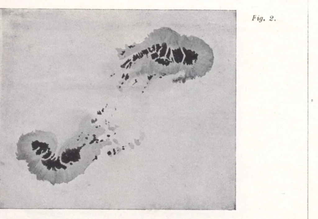 An illustration from Rivista di astronomia e scienze affini, 1908, a. 2, n. 03 (March), 1908, leaf 12