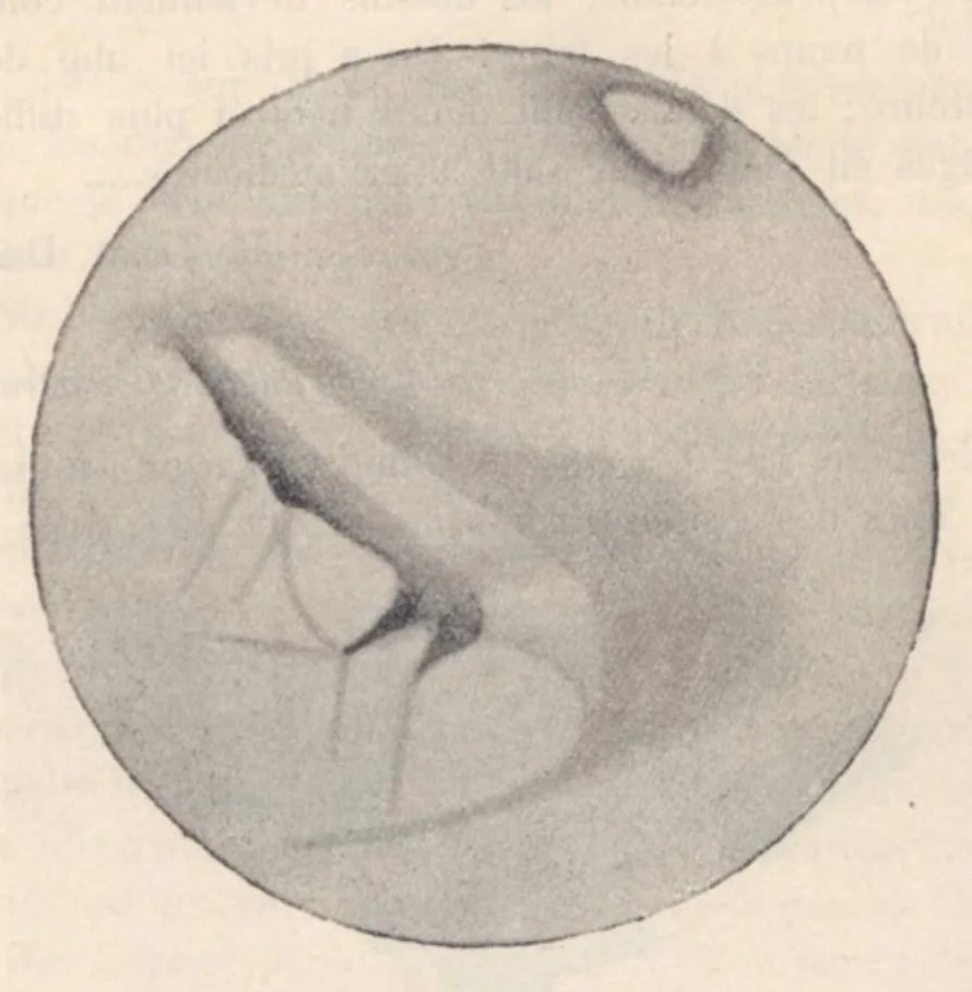 An illustration from Rivista di astronomia e scienze affini, 1909, a. 3, n. 11 (November), 1909, leaf 12