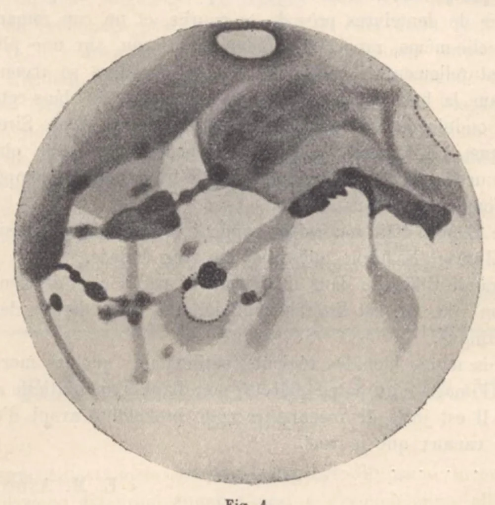 An illustration from Rivista di astronomia e scienze affini, 1909, a. 3, n. 11 (November), 1909, leaf 15