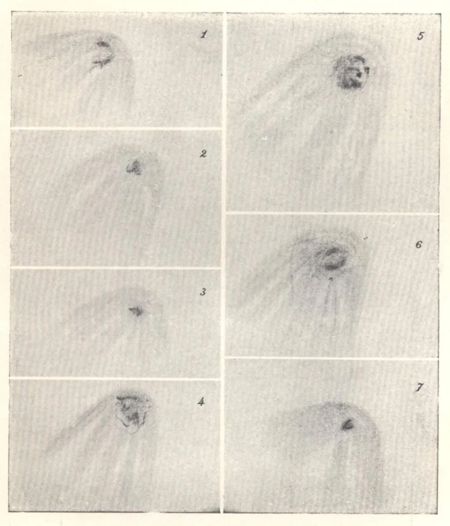 An illustration from Rivista di astronomia e scienze affini, 1910, a. 4, n. 12 (December), 1910, leaf 43