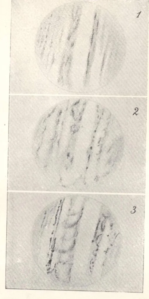An illustration from Rivista di astronomia e scienze affini, 1910, a. 4, n. 12 (December), 1910, leaf 44