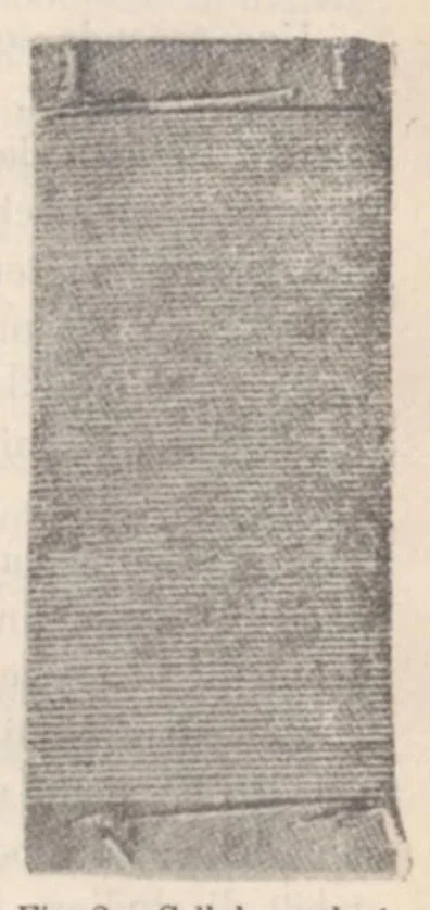 An illustration from Rivista di astronomia e scienze affini, 1911, a. 5, n. 05 (May), 1911, leaf 19
