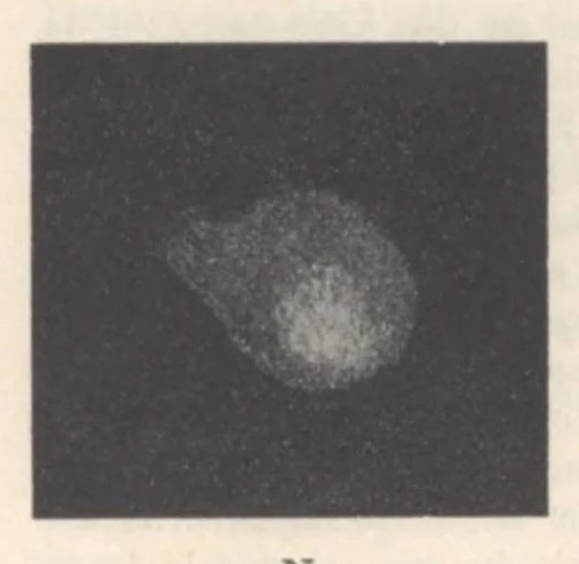 An illustration from Rivista di astronomia e scienze affini, 1911, a. 5, n. 09 (September), 1911, leaf 39